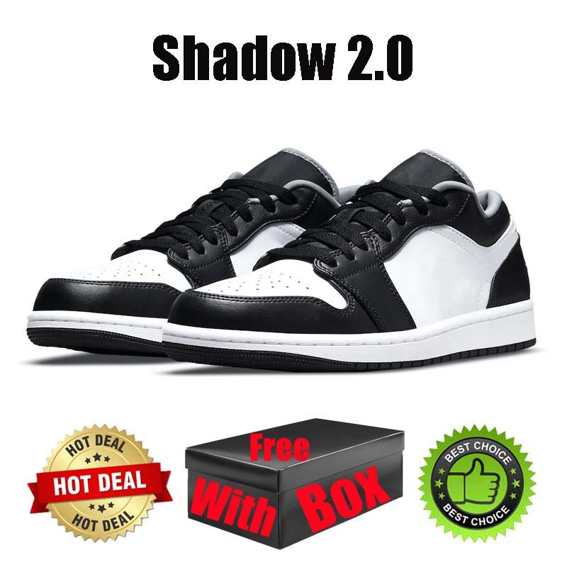 #29 Shadow 2.0