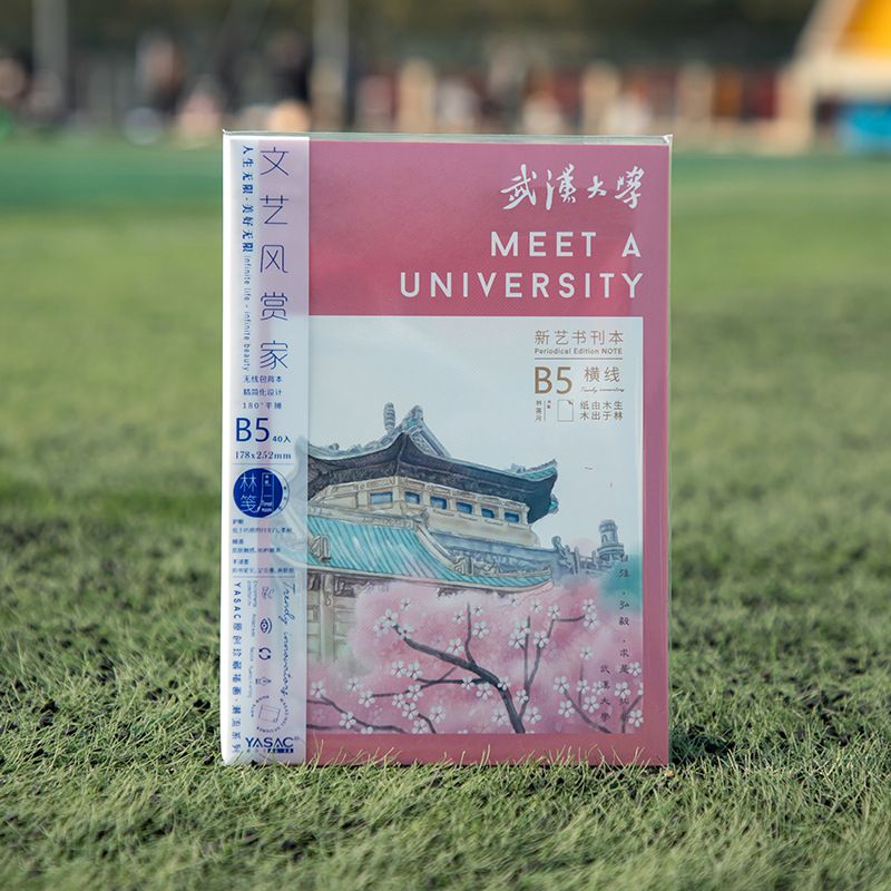 Wuhan University B5 China