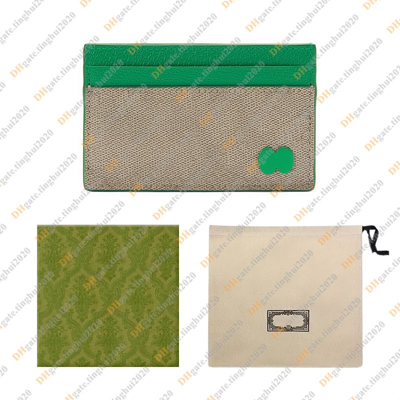 Beige & Green / With Dust Bag & Box