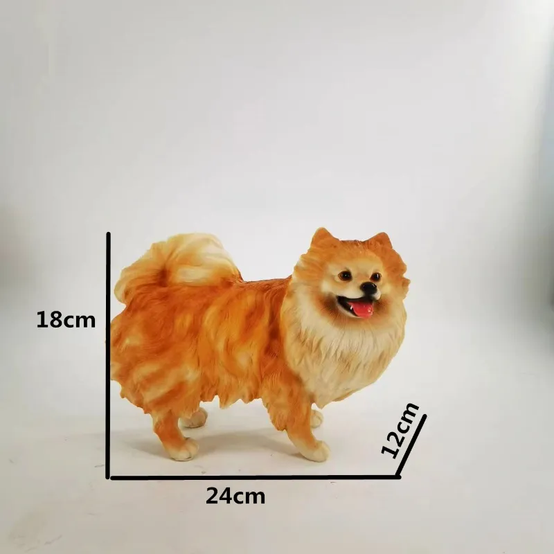 Pomeranian