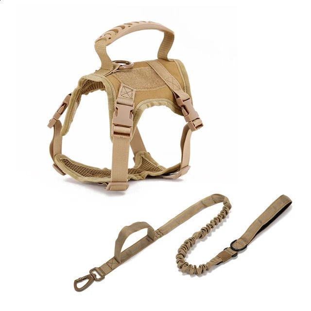 Brown Harness Leash