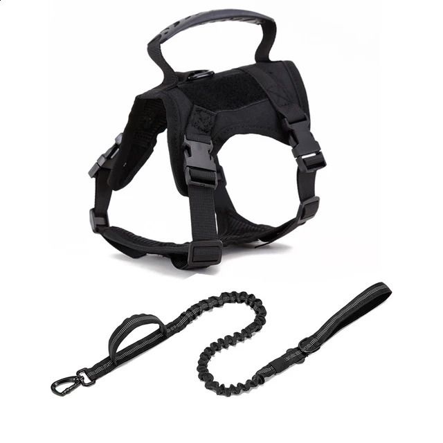 Black Harness Leash