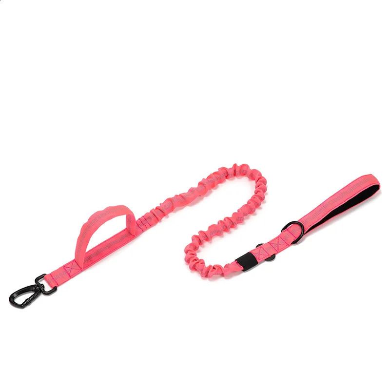 Rose Red Leash