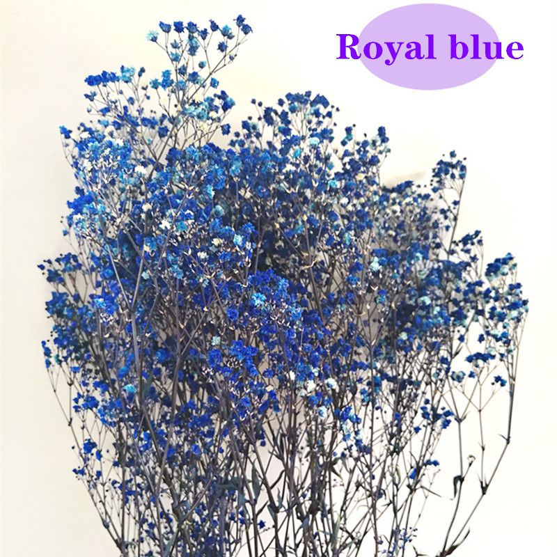 bleu royal