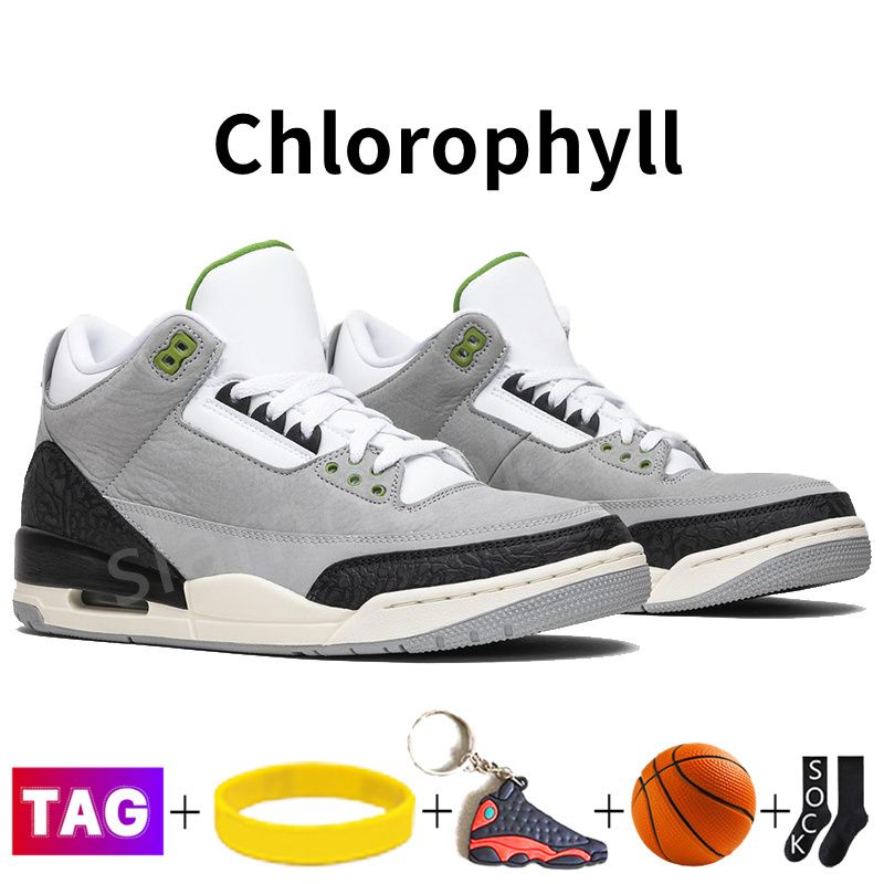 #21- Chlorophyll