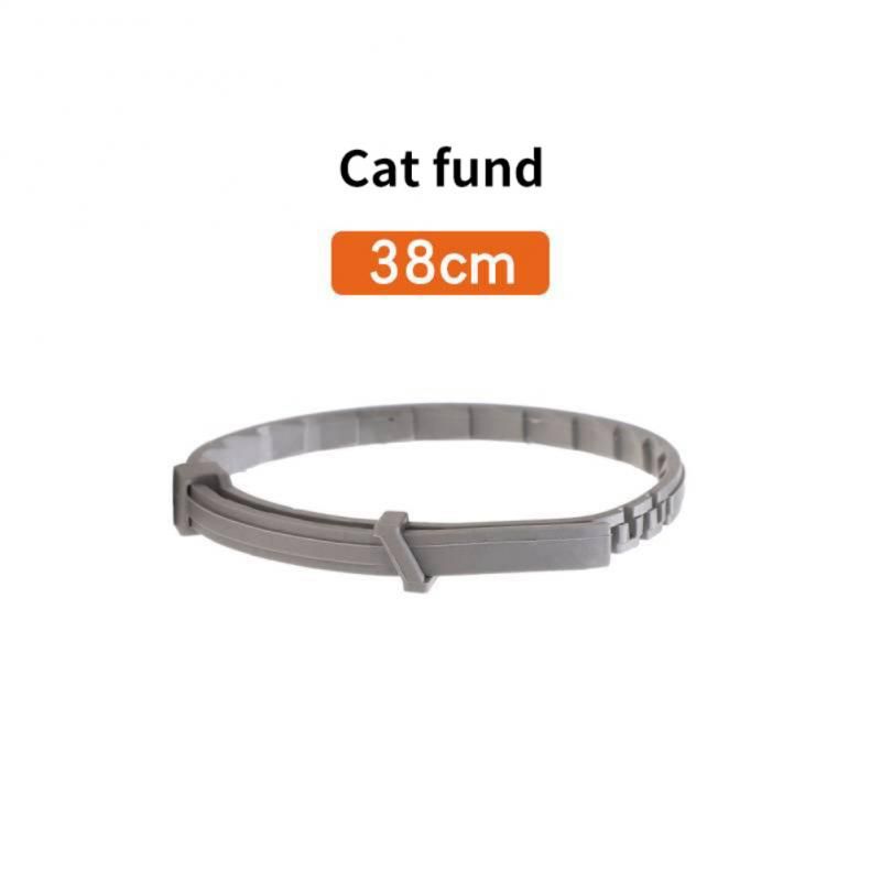 Cat 38cm Chine