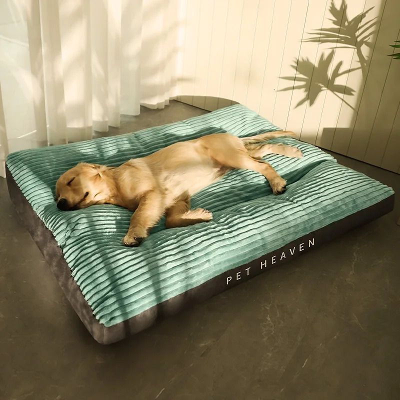 Letto di cane verde