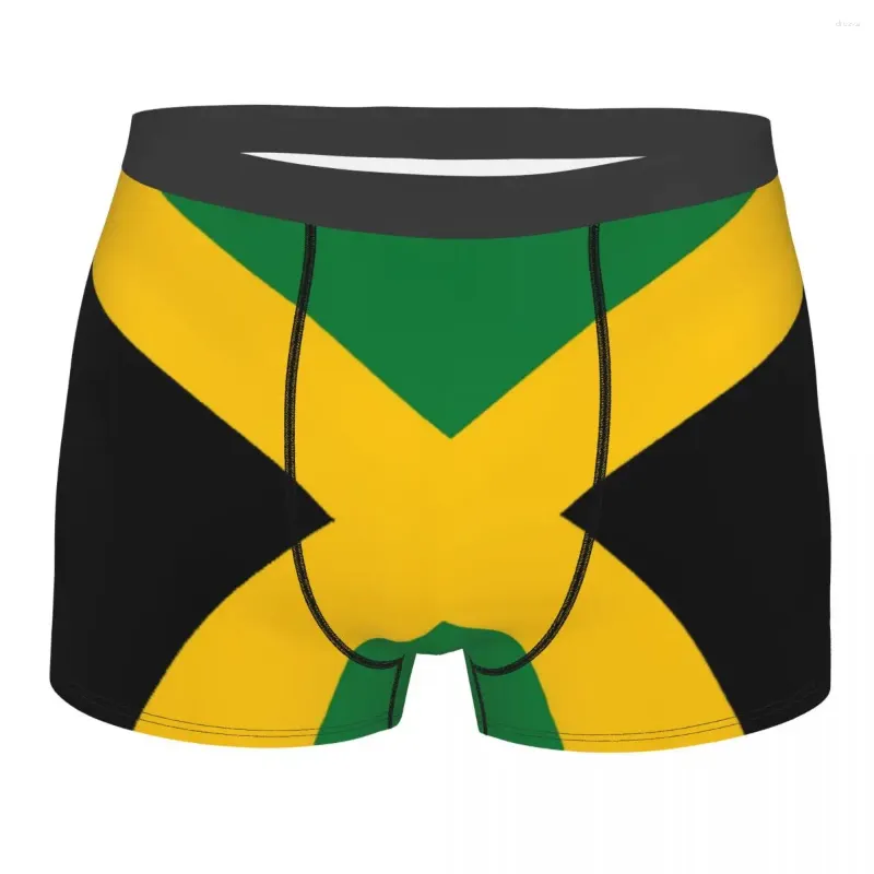 Cuecas boxer