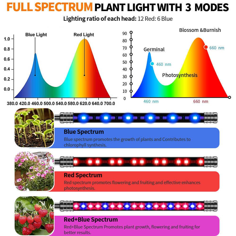 LAMPE HORTICOLE PLANTE Spectre Complet 72 LED Hauteur Réglable