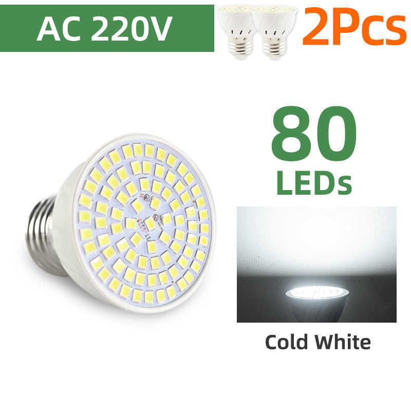 2pcs cold 220v 80led