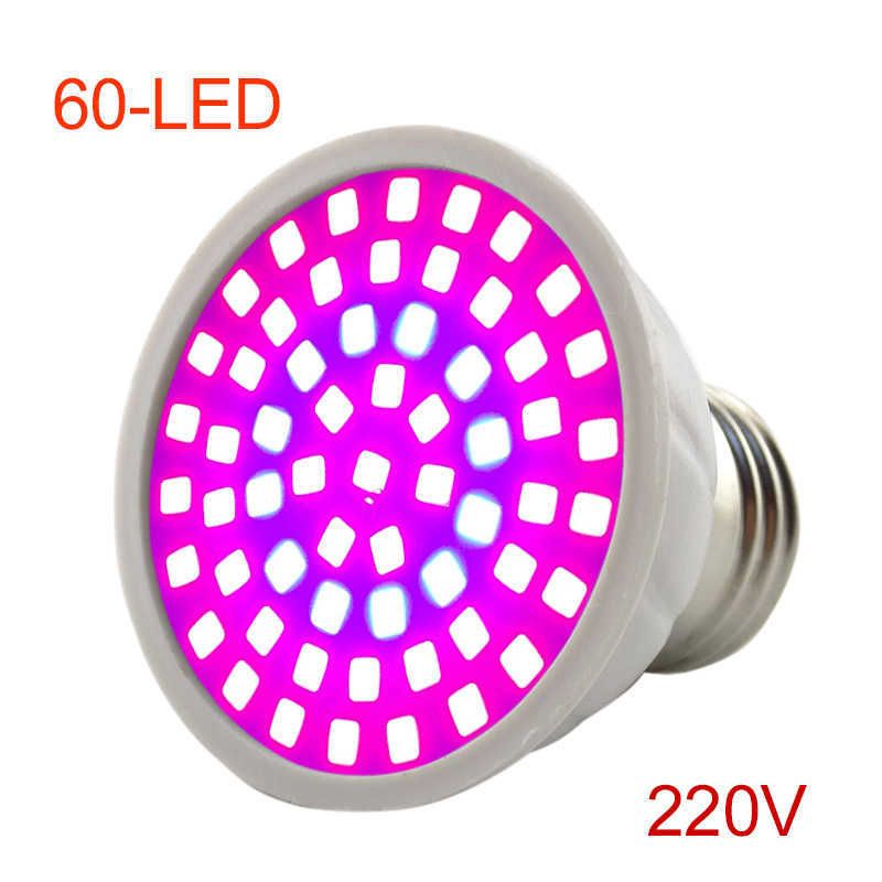 60LED 220v