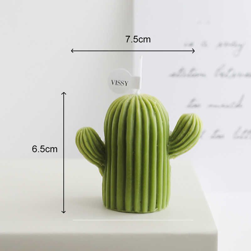 CACTUS-1PC