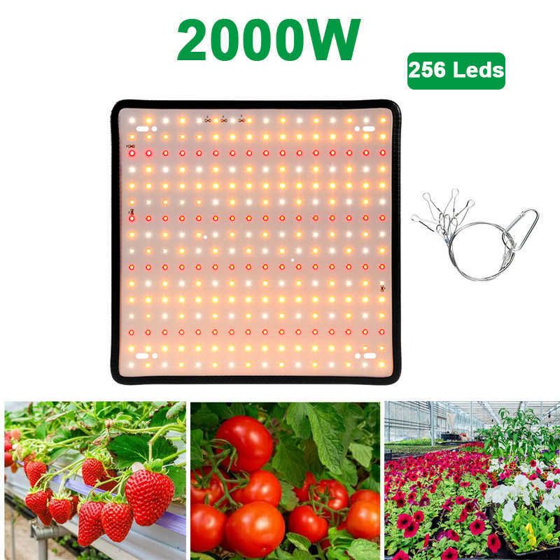 Тип 4-2000W-256LEDS