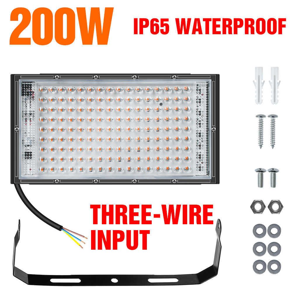 200W sans plug