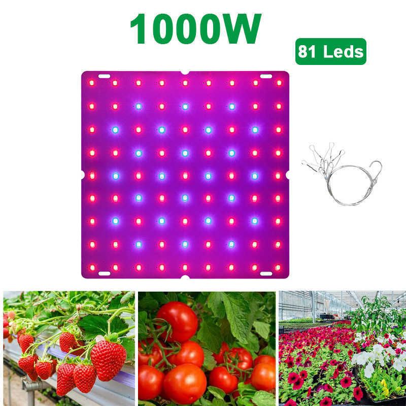 Тип 1-1000W-81LEDS