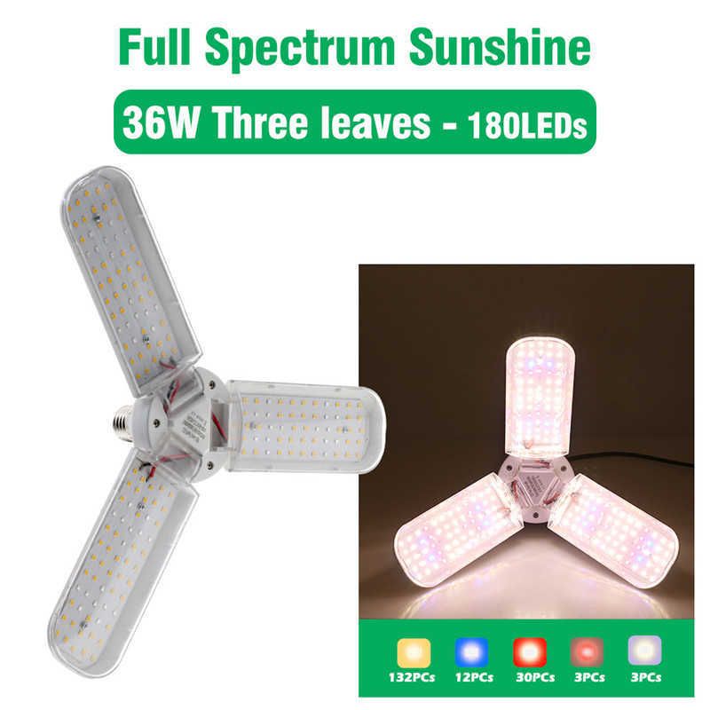 36w only lamp