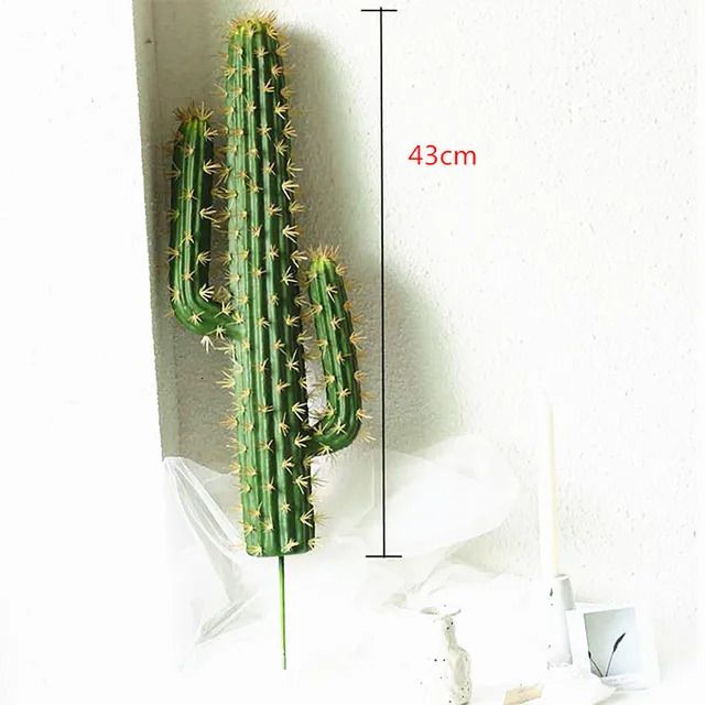 43 cm