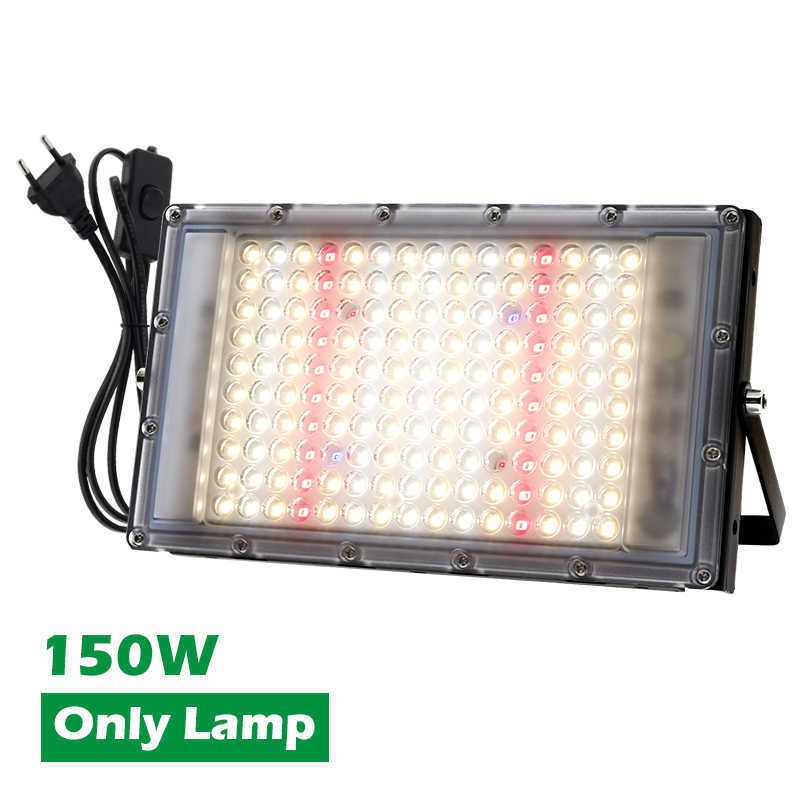 150w only lamp