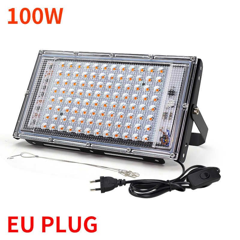 100w eu plug