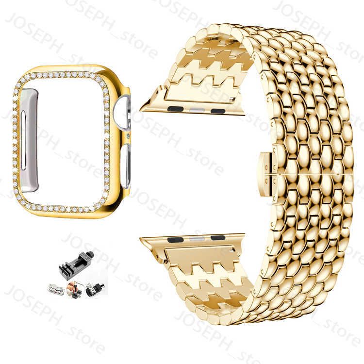 Gold And Case-40mm