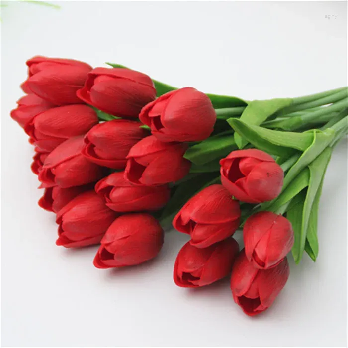 Tulipe D12 Rouge Foncé