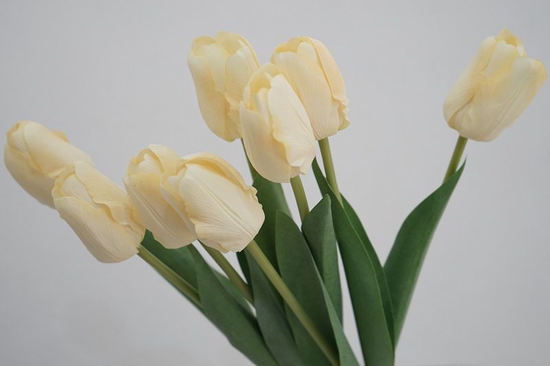 Lichtgele tulp