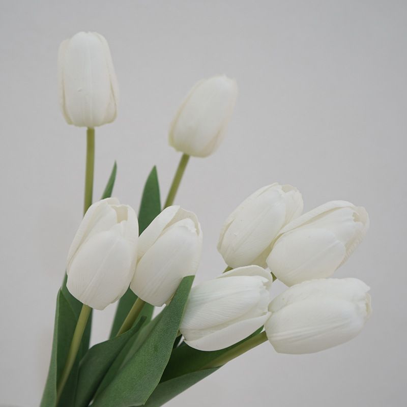 Witte tulp