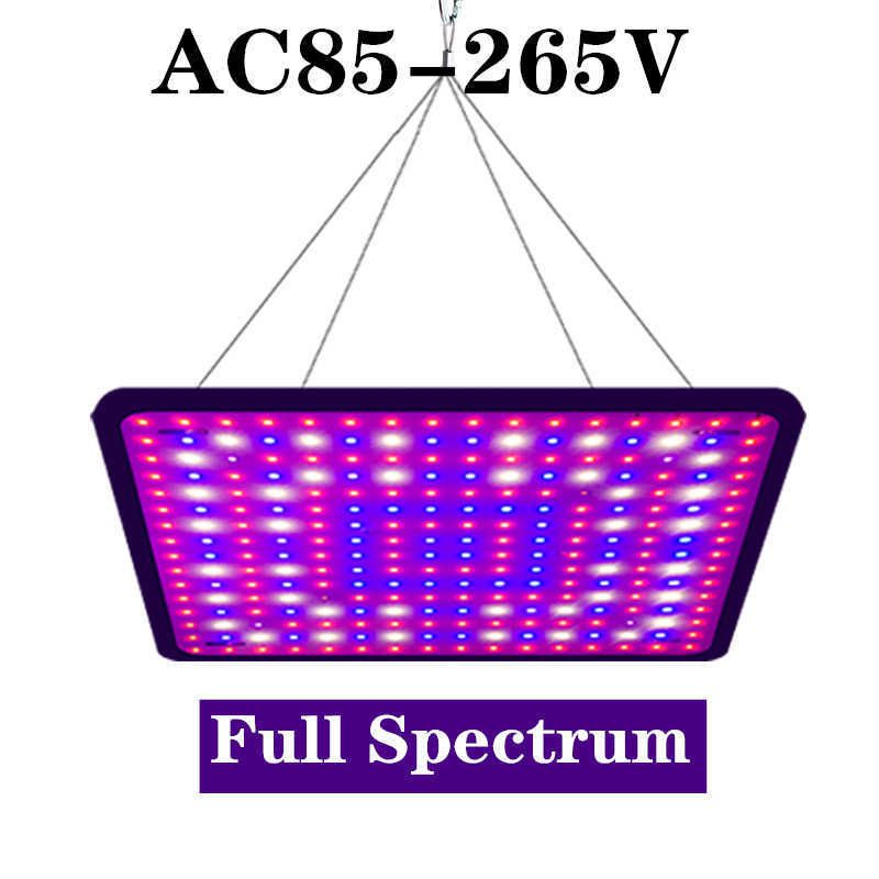 Fullt spektrum x1