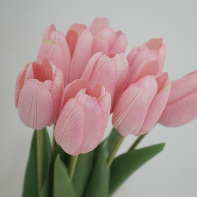 Roze tulp