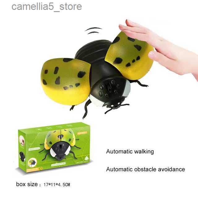 induction ladybug