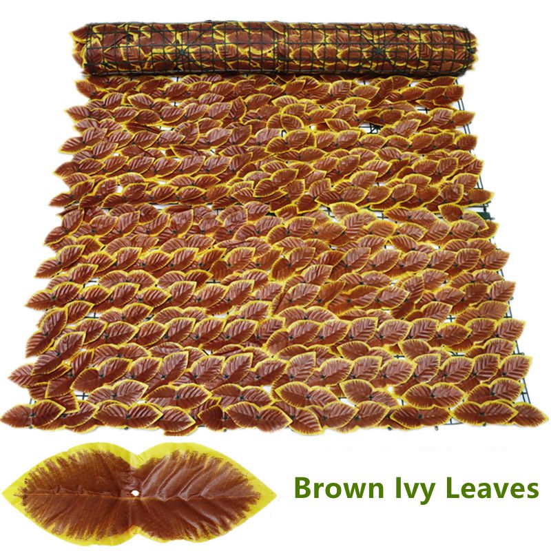 Brown lvy folhas-l