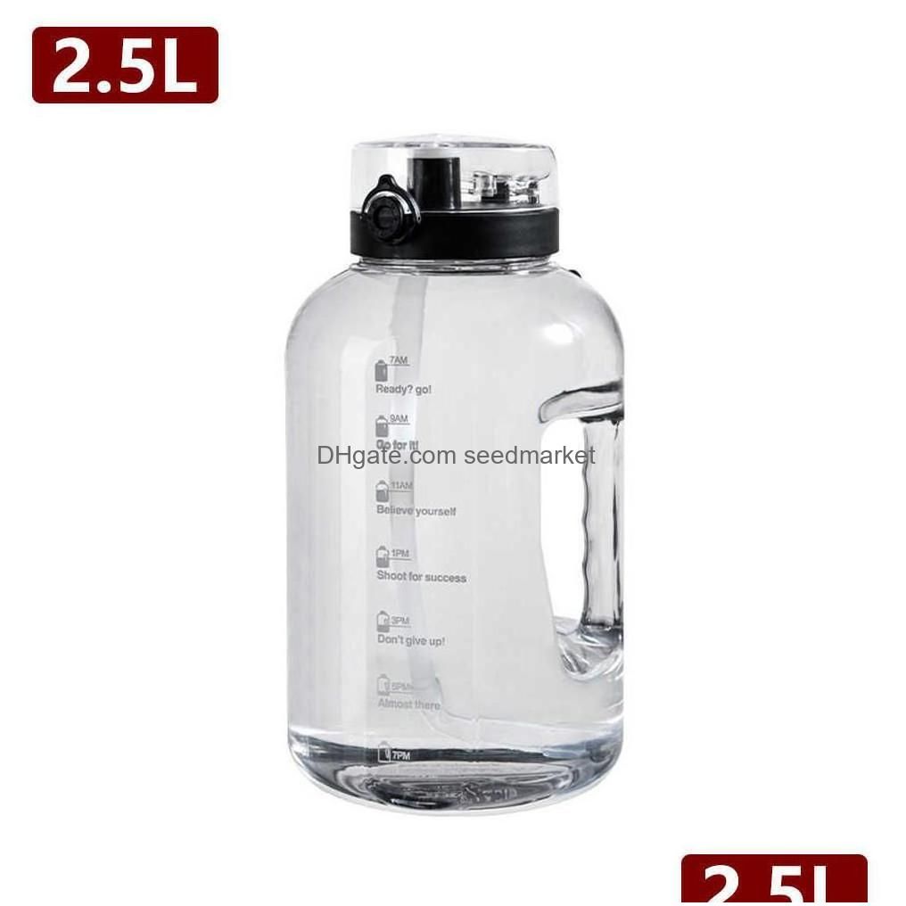 2500ml-P