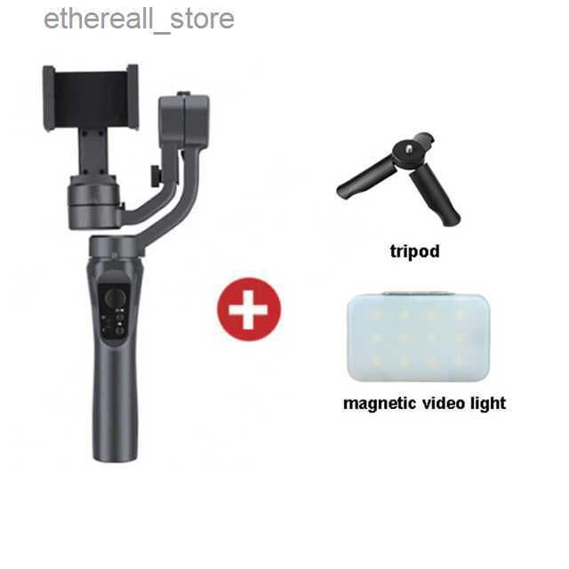 F6 Stabilisateur e