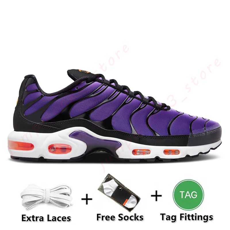 B29 40-46 Voltage Purple