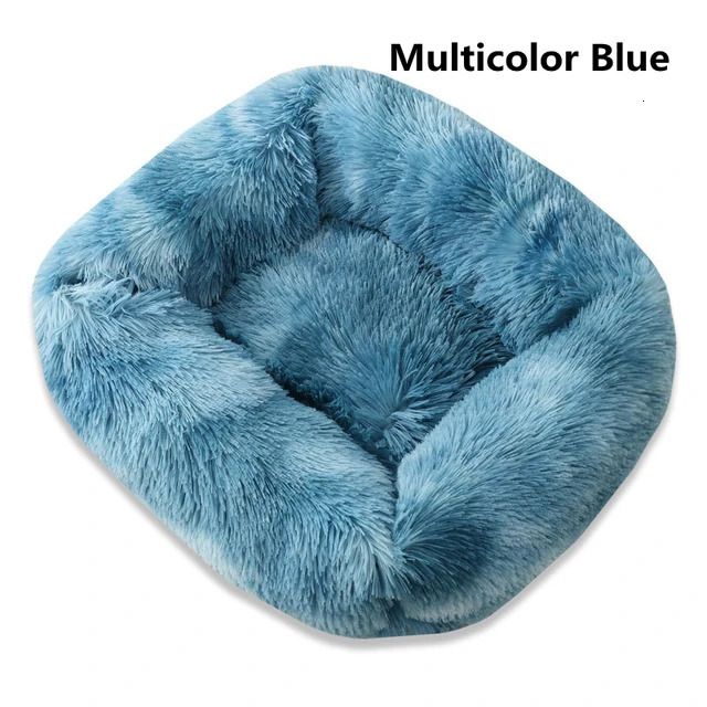 Blue multicolore