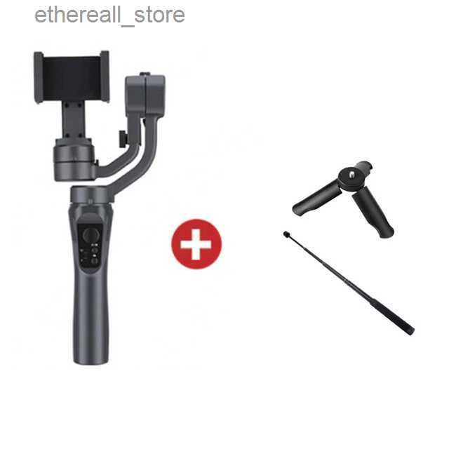 F6 Stabilisateur b