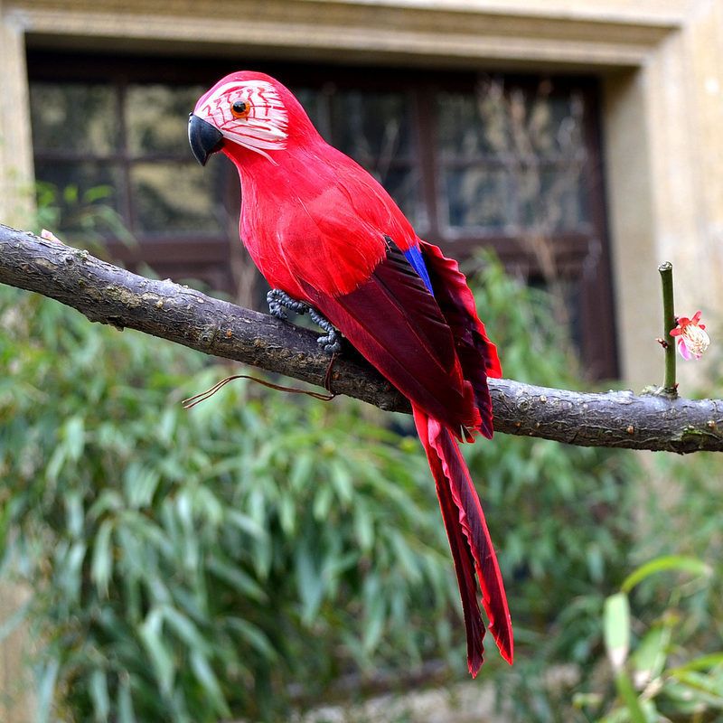 Rouge 35 cm