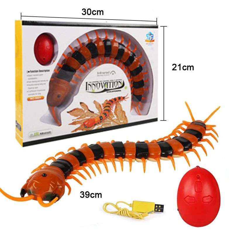 c-centipede-with box