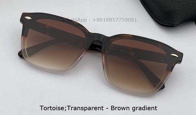 Tortue; transparent - gradient brun