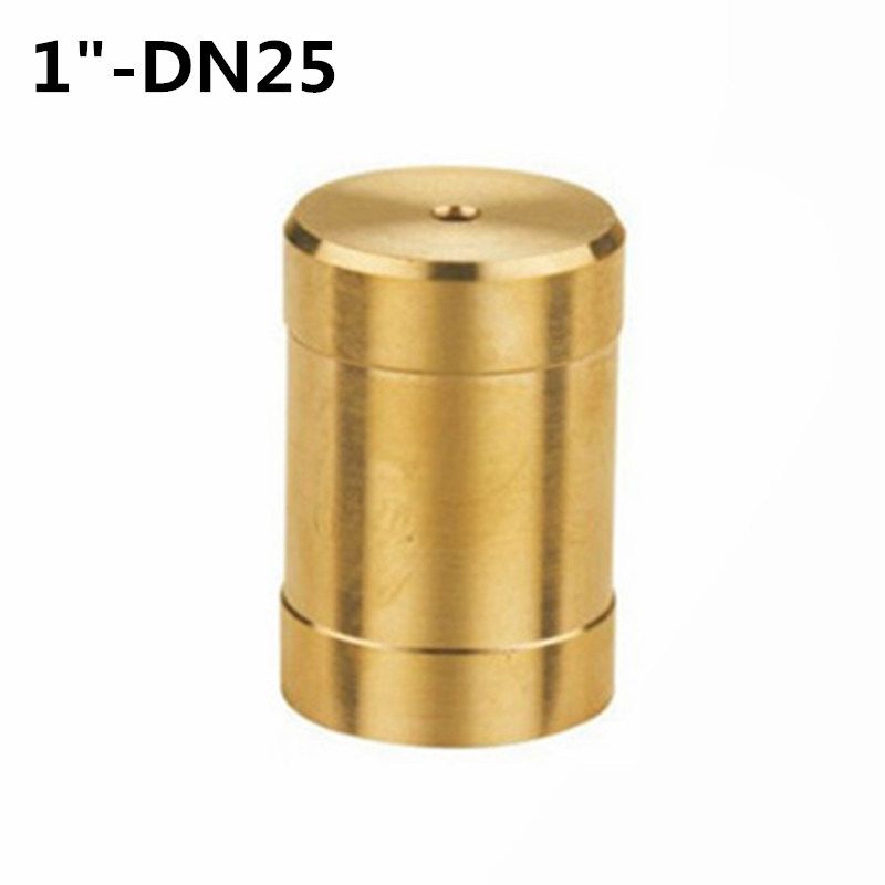 DN25