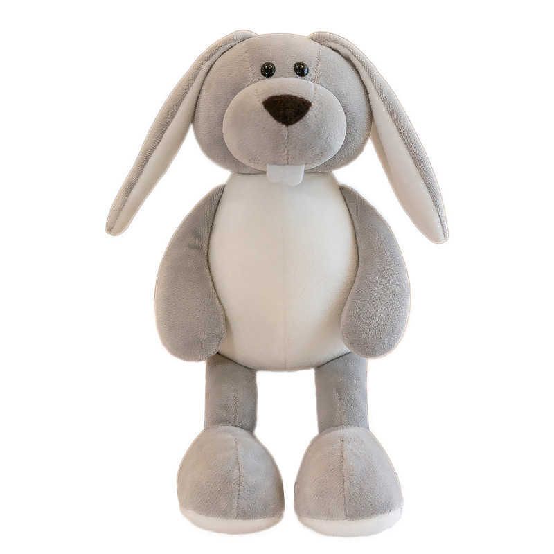 lapin gris