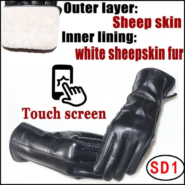 SD Touch-scherm