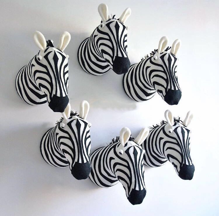 zebra