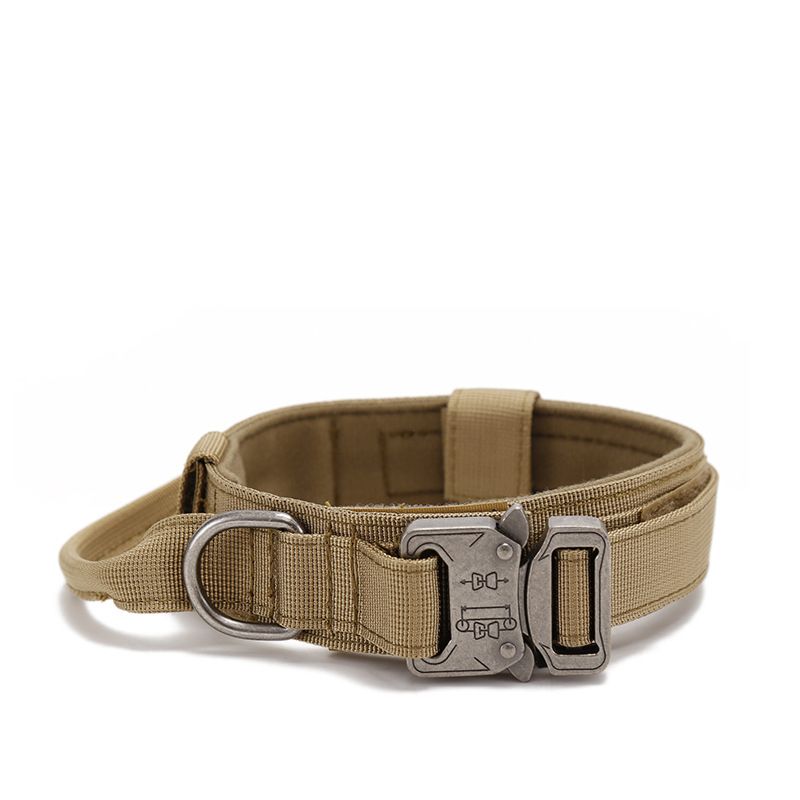 Khaki Collar