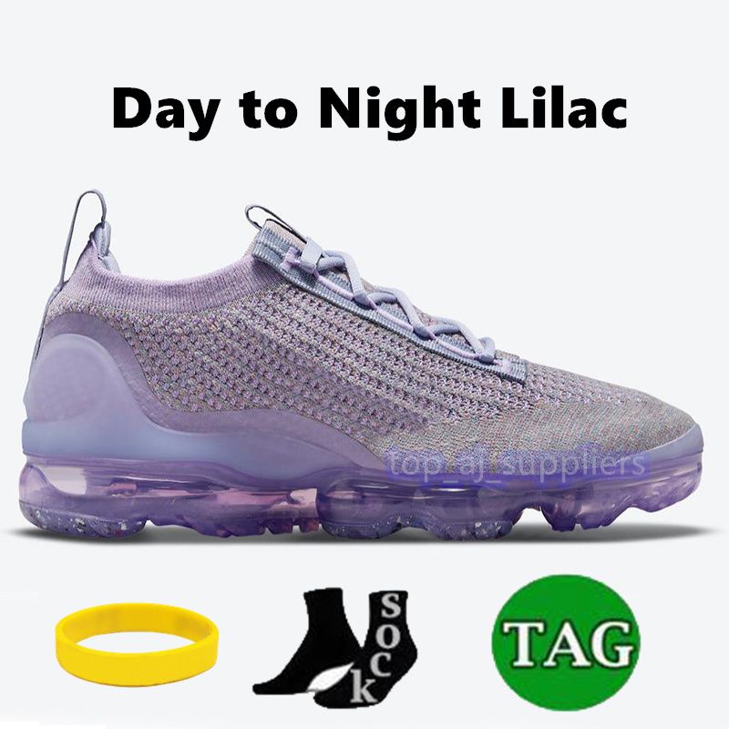 16 Day to Night lilac