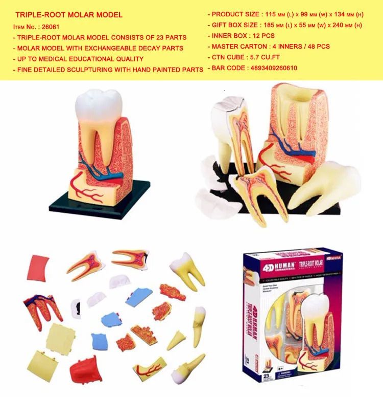 Options:Triple Root Molar Mo