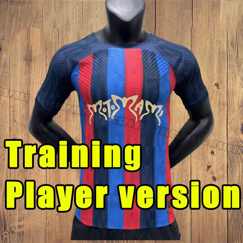 Trainingsplayer-Version