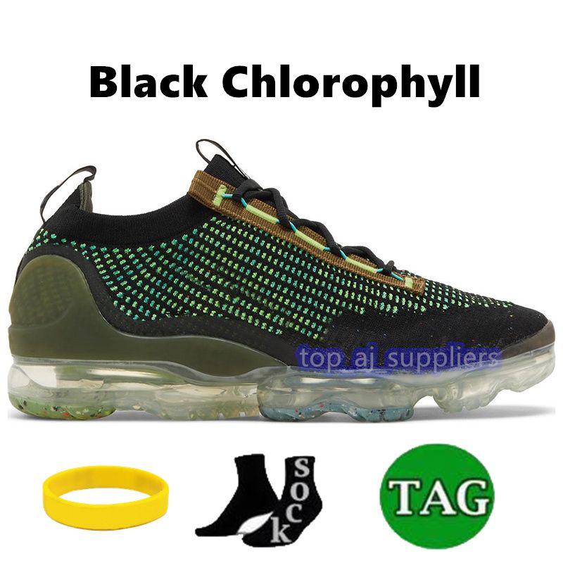 14 Black Chlorophyll