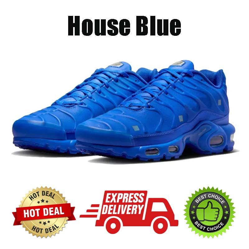 #5 House Blue