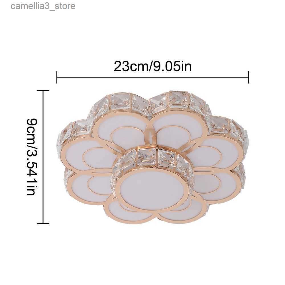 C D25cm 유형